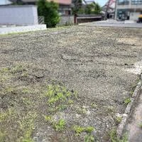 画像239