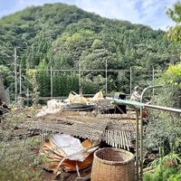 画像256