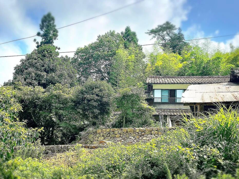 画像275