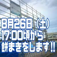 画像287