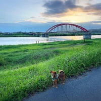 画像290