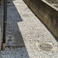 画像295